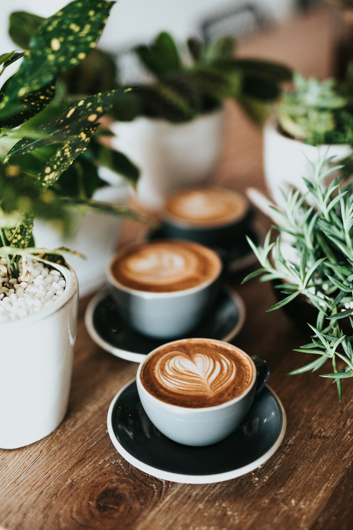 Coffee & Espresso